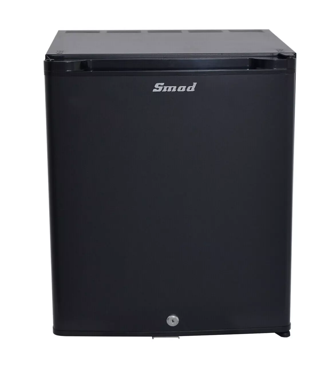 Mini Refrigerator RV Cooler 12V/110V Fridge Truck 